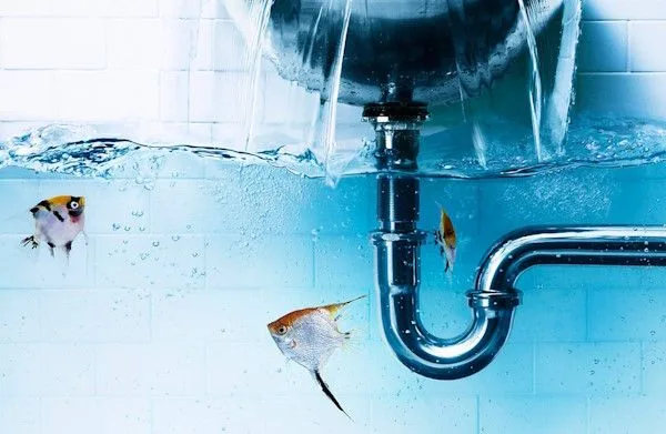 Drain Cleaning and Repair