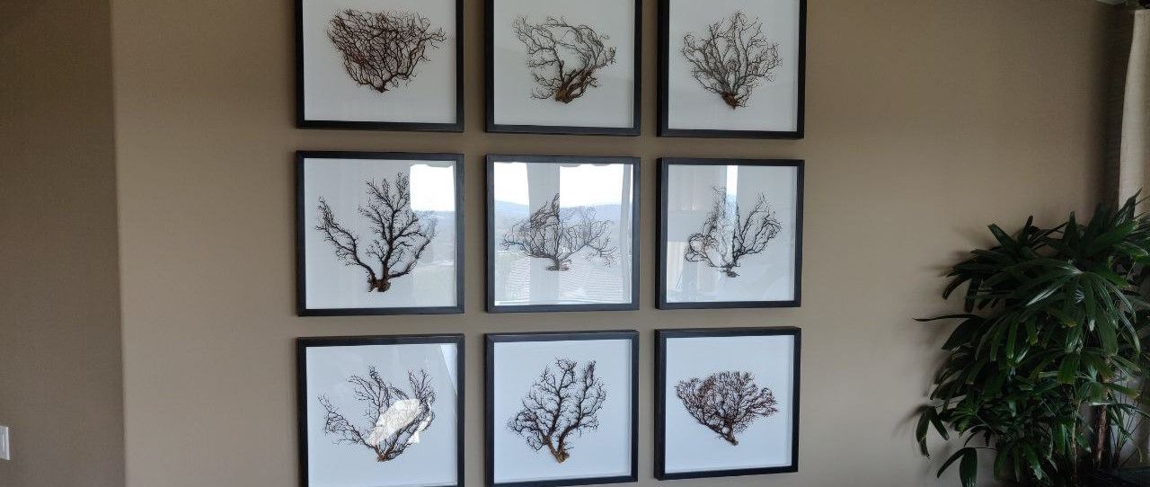 professional-hanging-pictures-service