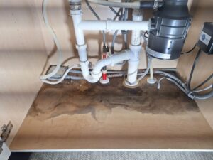 Replasement Cabinet Bottom Services