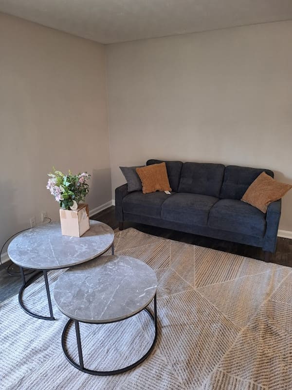 Fully furnished apartment after professional assembly